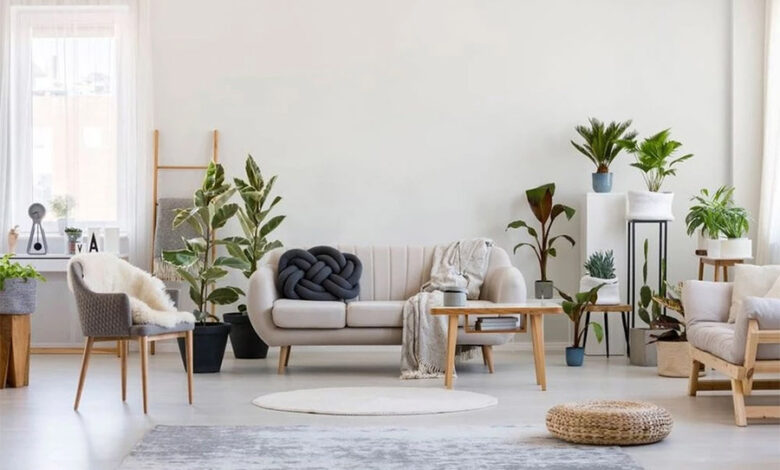 نکته کلیدی برای چیدمان بهتر منزل